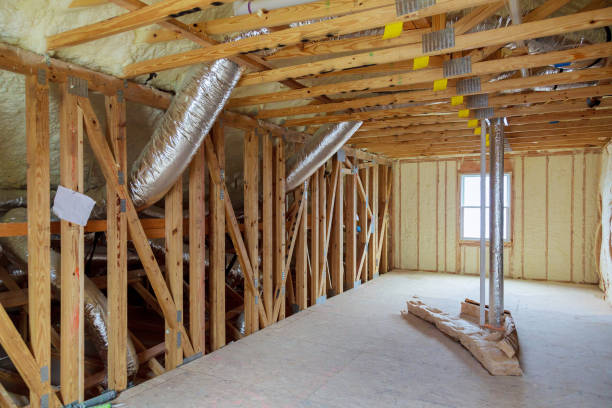 Best Eco-Friendly Insulation in Holly Springs, GA