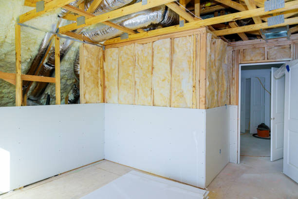Types of Insulation We Offer in Holly Springs, GA