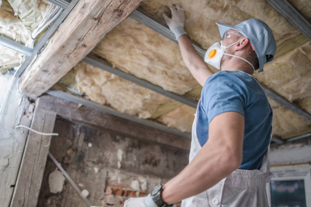 Trusted Holly Springs, GA Insulation Contractor Experts
